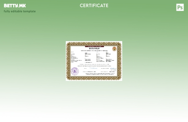 модерен стил Белгија извод за брак Шаблон за Word и PDF